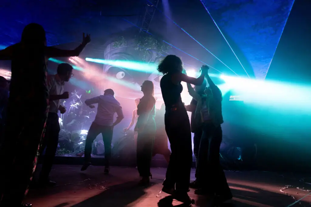 25 jaar Nico Rosseel - Dansfeest
Festival