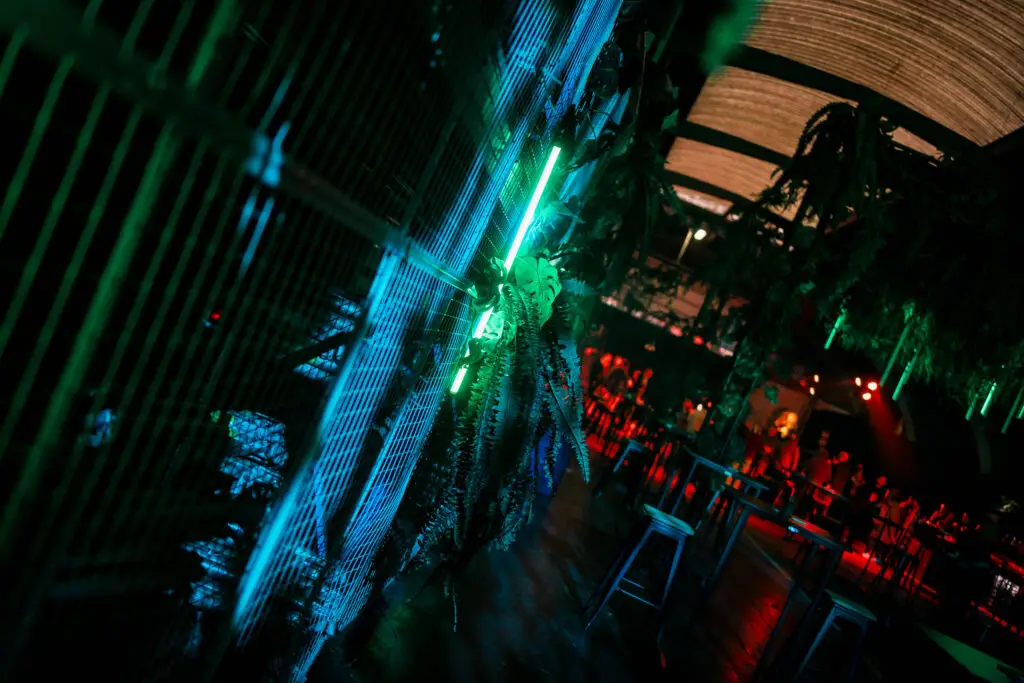 Urban Jungle Party – Een origineel personeelsfeest voor VRT Urban Jungle Party – Een origineel personeelsfeest voor VRT